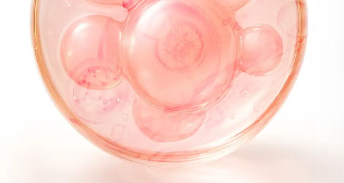 Galactomyces Ferment Filtrate
